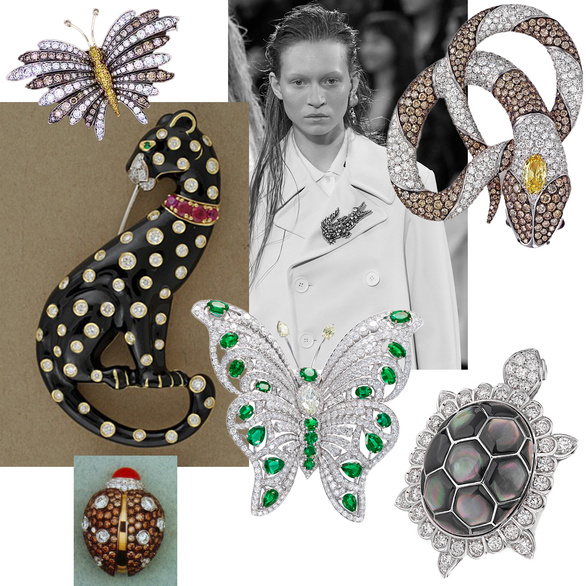 PICCHIOTTI butterfly brooch, Lacoste Fall 25 (Spotlight Launchmetrics), PICCHIOTTI serpent brooch, PICCHIOTTI tortoise brooch, PICCHIOTTI butterfly brooch, PICCHIOTTI ladybug brooch, PICCHIOTTI panther brooch