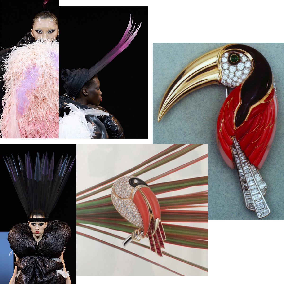 Clockwise from upper right – PICCHIOTTI Toucan brooch, PICCHIOTTI Coral Toucan brooch, all runway images are Viktor & Rolf Couture F/W 2025-26 (Spotlight Launchmetrics)